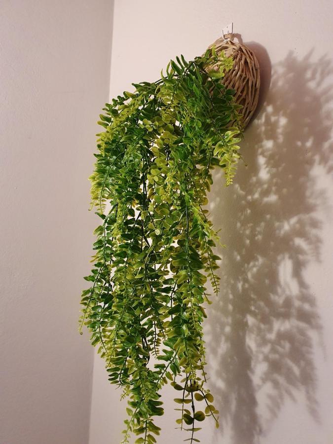 ואלה דה קאמברה Rosinha Country House מראה חיצוני תמונה