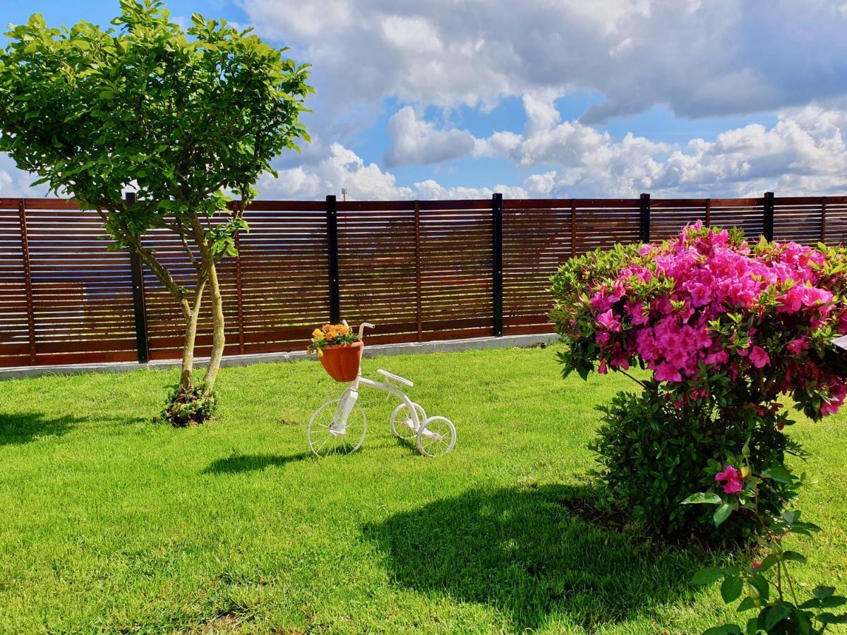 ואלה דה קאמברה Rosinha Country House מראה חיצוני תמונה